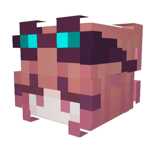 SurprisinglyCold Minecraft avatar head, 3D render