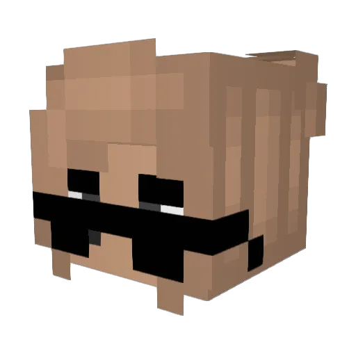 Surreptxtxous Minecraft avatar head, 3D render
