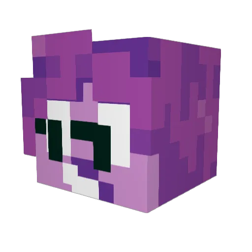 SurskitMatt Minecraft avatar head, 3D render