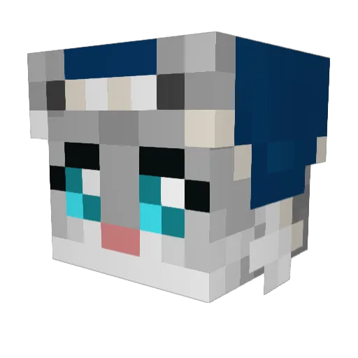 SurvivalGames Minecraft avatar head, 3D render