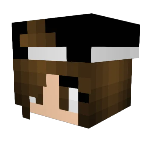 SurvivalHeld Minecraft avatar head, 3D render