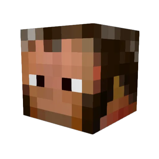Survivor19 Minecraft avatar head, 3D render