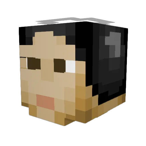 SurvivorOne2014 Minecraft avatar head, 3D render