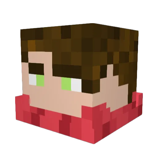 Survivor_1000 Minecraft avatar head, 3D render