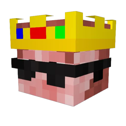 Survivor_Boyyyyy Minecraft avatar head, 3D render