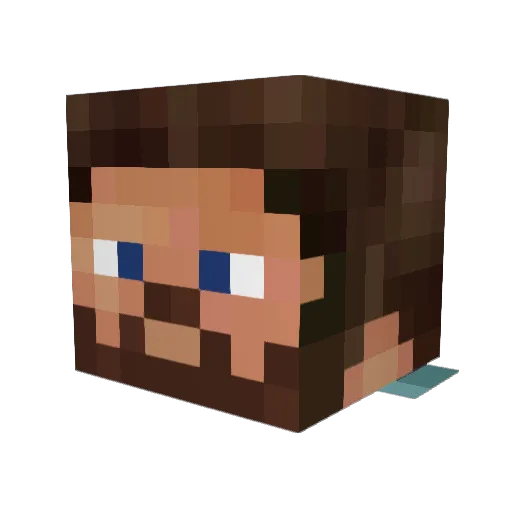 Survivor_Steve_ Minecraft avatar head, 3D render