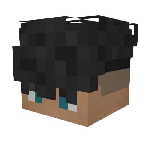 Survivorman1971 Minecraft avatar head, 3D render