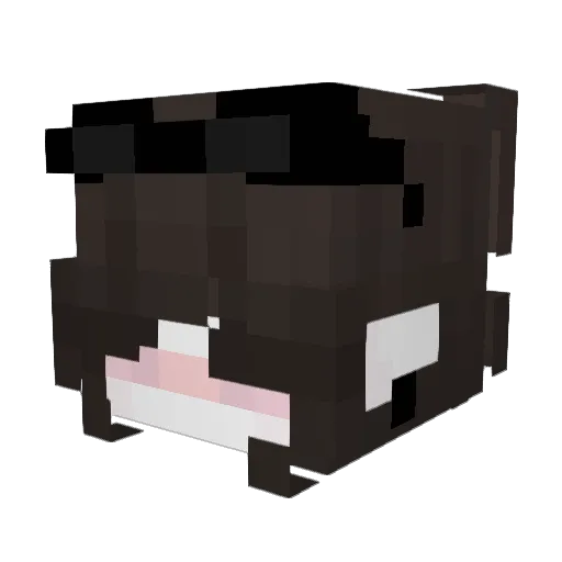 Survixnz Minecraft avatar head, 3D render