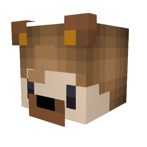 Sus0x Minecraft avatar head, 3D render