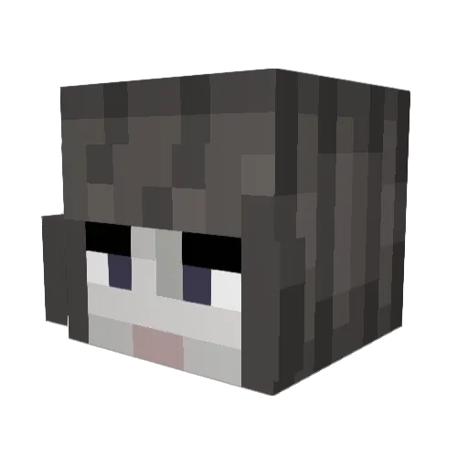 SusIsUseless Minecraft avatar head, 3D render