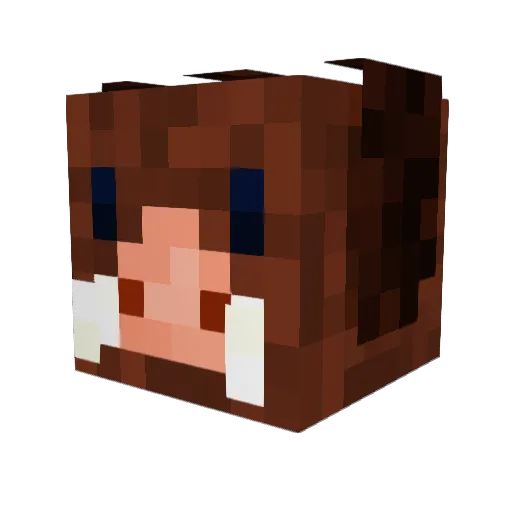 SusScrofa6 Minecraft avatar head, 3D render