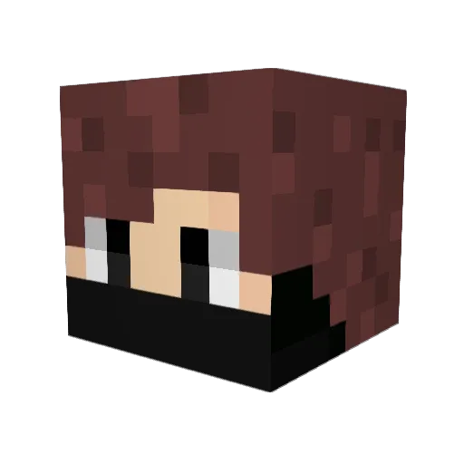 SusTaco Minecraft avatar head, 3D render