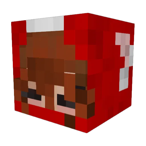 SusTheTurtle Minecraft avatar head, 3D render