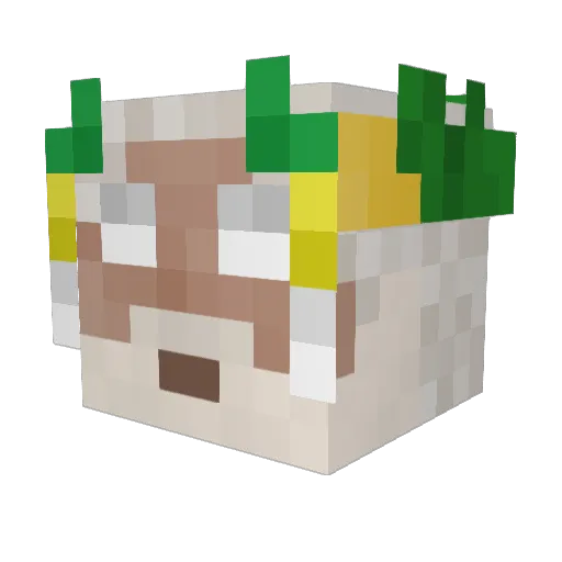 SusTurtleee Minecraft avatar head, 3D render