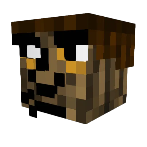 Sus_Fish09 Minecraft avatar head, 3D render