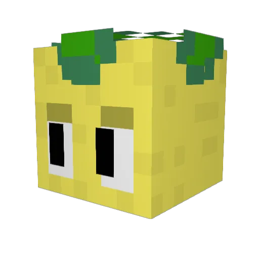 Sus_pineapple12 Minecraft avatar head, 3D render