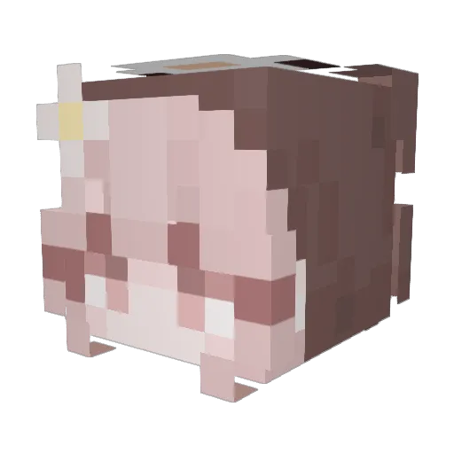 Susanna2015 Minecraft avatar head, 3D render