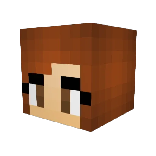 Susanna_xx Minecraft avatar head, 3D render