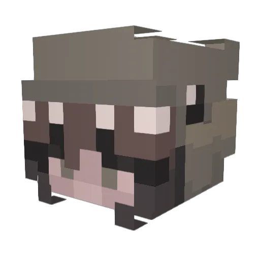 Susathebeast Minecraft avatar head, 3D render