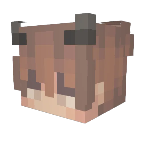 Susby Minecraft avatar head, 3D render