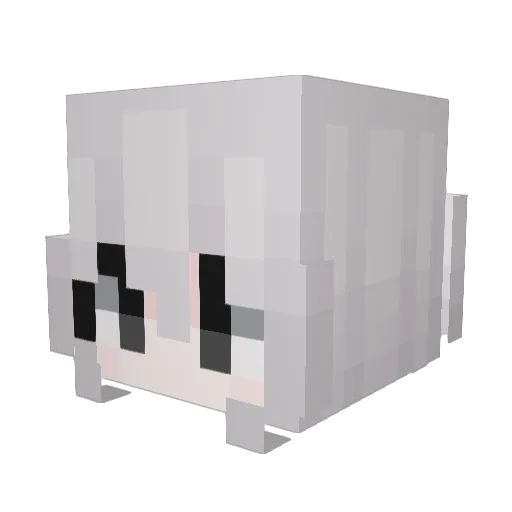 Susfe Minecraft avatar head, 3D render