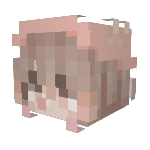 Sush1_C4t Minecraft avatar head, 3D render