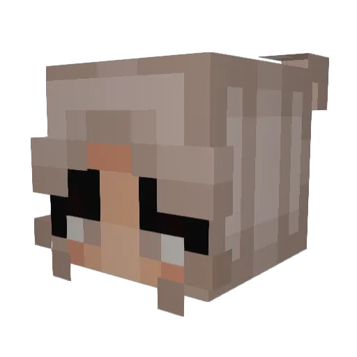 SushDushii_x Minecraft avatar head, 3D render