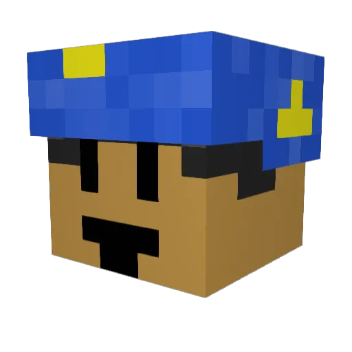 Sush_Man16713 Minecraft avatar head, 3D render