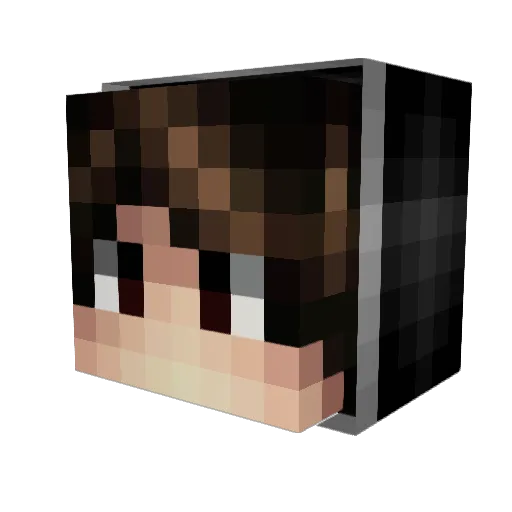 Sushhhtrashhh Minecraft avatar head, 3D render