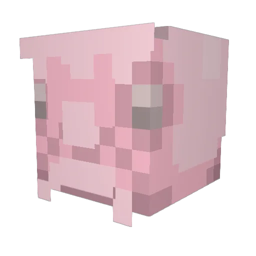 Sushi54365 Minecraft avatar head, 3D render