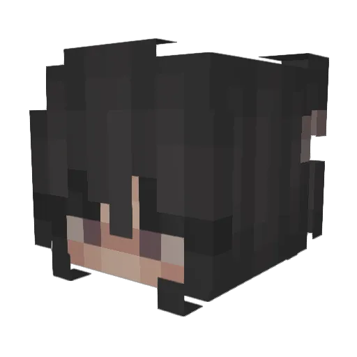 SushiBrain69 Minecraft avatar head, 3D render