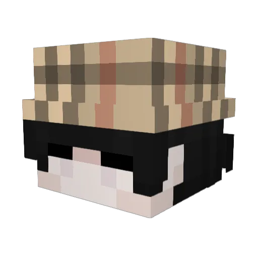 SushiCrabs Minecraft avatar head, 3D render