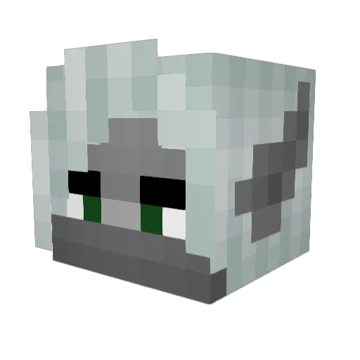 SushiEnthusiast Minecraft avatar head, 3D render