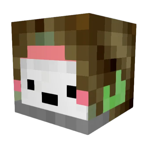 Minecraft-Avatar von SushiIsOver: Kopf als 3D-Render