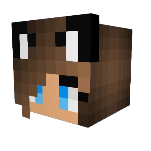 SushiPandy Minecraft avatar head, 3D render