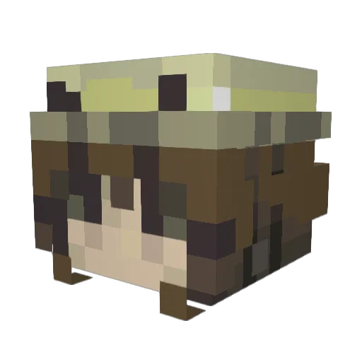 SushiPerson123 Minecraft avatar head, 3D render