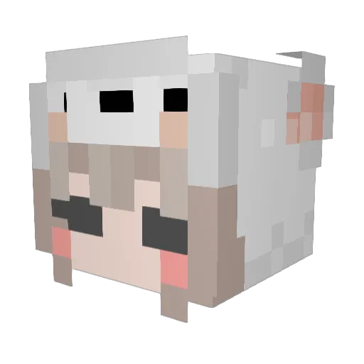 SushiR0ll001 Minecraft avatar head, 3D render