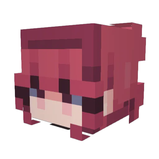 SushiSoup11 Minecraft avatar head, 3D render