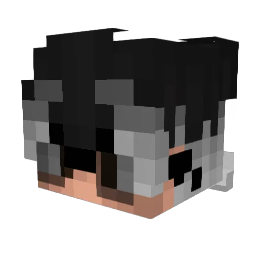 SushiSpidey Minecraft avatar head, 3D render
