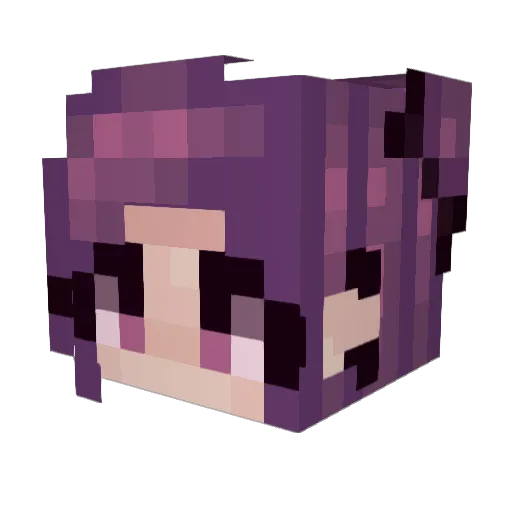 Sushi_Cat Minecraft avatar head, 3D render