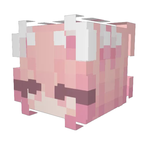 Sushi_Wizard Minecraft avatar head, 3D render