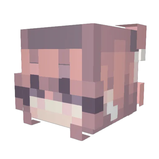 Sushib0mber Minecraft avatar head, 3D render