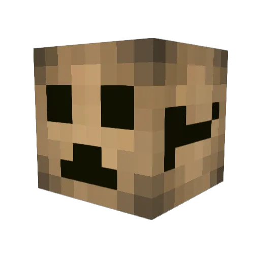 Sushibandit Minecraft avatar head, 3D render