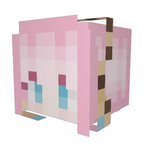 Sushid00 Minecraft avatar head, 3D render