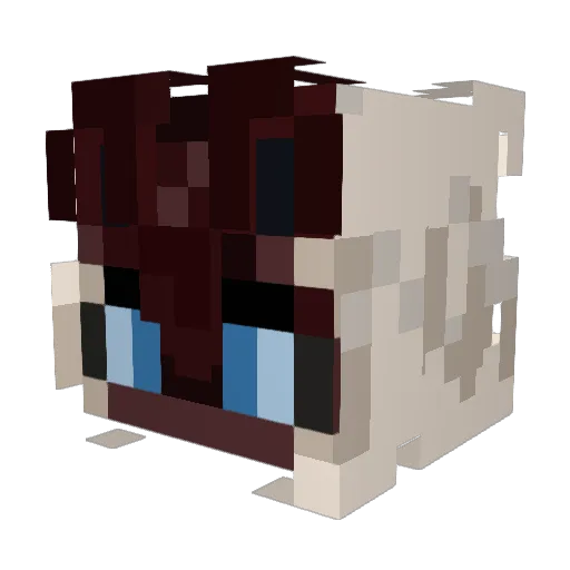 Sushiiravu Minecraft avatar head, 3D render