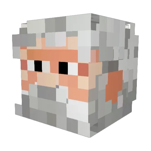 Sushinata Minecraft avatar head, 3D render