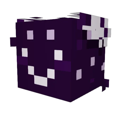 Sushipies Minecraft avatar head, 3D render