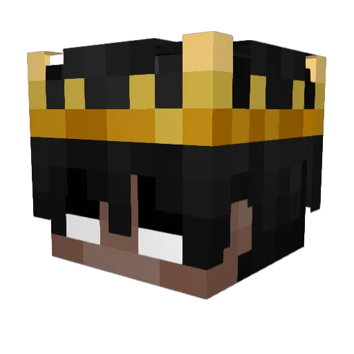 Sushirolle1337 Minecraft avatar head, 3D render