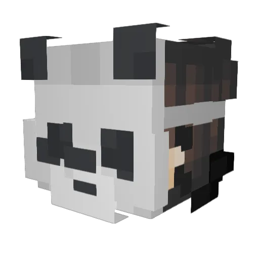 SushisMom Minecraft avatar head, 3D render