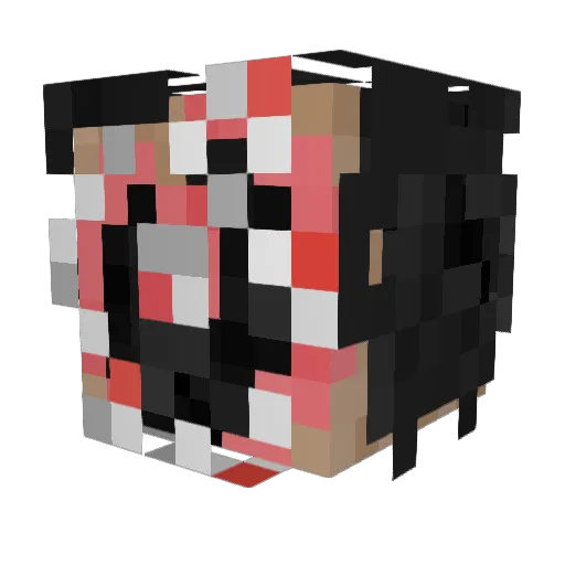 Sushisjpeg Minecraft avatar head, 3D render